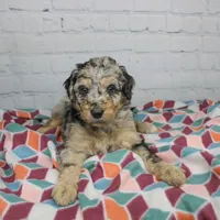 processed/20f57480-2efe-45a3-bcbb-58fa08c693ae/facility/3f627bcc-b12b-42df-812f-03036919f0bc