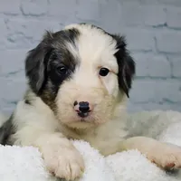 processed/20f57480-2efe-45a3-bcbb-58fa08c693ae/facility/767e982b-d100-4a5c-9c77-9367691ae44a