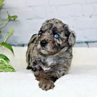 processed/20f57480-2efe-45a3-bcbb-58fa08c693ae/facility/94c18cbb-f57e-463f-8f61-db10d96e841d