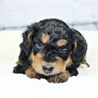 processed/20f57480-2efe-45a3-bcbb-58fa08c693ae/facility/c4201ef9-e63a-41de-ac65-53558b273311