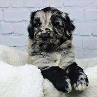 processed/20f57480-2efe-45a3-bcbb-58fa08c693ae/facility/cc1fdd09-99d3-4db2-a413-d71b659f0307