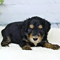 processed/20f57480-2efe-45a3-bcbb-58fa08c693ae/facility/cdc367c2-7ba7-420a-a9ec-61162997149b