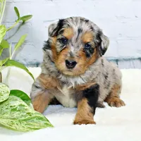 processed/20f57480-2efe-45a3-bcbb-58fa08c693ae/facility/f1ff37c7-88ab-4c4e-98ca-651de2578625