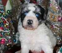 processed/20f57480-2efe-45a3-bcbb-58fa08c693ae/listing/30d423c6-4a01-4eec-8526-0a596e60d83b/09d6312b-9d54-458c-8499-a1db265038ce