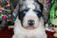 processed/20f57480-2efe-45a3-bcbb-58fa08c693ae/listing/30d423c6-4a01-4eec-8526-0a596e60d83b/118ac414-b2a5-47e5-bb12-51af540d2585