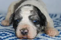 processed/20f57480-2efe-45a3-bcbb-58fa08c693ae/listing/30d423c6-4a01-4eec-8526-0a596e60d83b/21e1569a-c6a3-4e08-aed9-34474ad34f3a