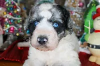 processed/20f57480-2efe-45a3-bcbb-58fa08c693ae/listing/30d423c6-4a01-4eec-8526-0a596e60d83b/30d50db2-1ba8-4499-9b7b-c26739e92419