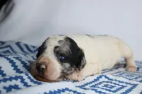 processed/20f57480-2efe-45a3-bcbb-58fa08c693ae/listing/30d423c6-4a01-4eec-8526-0a596e60d83b/4da1fd2c-271a-4663-bd0e-23037a8072c7