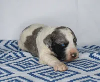 processed/20f57480-2efe-45a3-bcbb-58fa08c693ae/listing/30d423c6-4a01-4eec-8526-0a596e60d83b/e62cefd0-6ac7-469e-9b9d-3e6eeec3618b