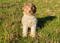 processed/20f57480-2efe-45a3-bcbb-58fa08c693ae/listing/33882874-c749-49a7-a79b-f6b14563ce1a/17838d31-525b-4588-a176-59675a442850