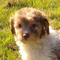 processed/20f57480-2efe-45a3-bcbb-58fa08c693ae/listing/33882874-c749-49a7-a79b-f6b14563ce1a/1d694c11-f77e-4db6-a732-370fc9680af2