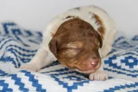 processed/20f57480-2efe-45a3-bcbb-58fa08c693ae/listing/33882874-c749-49a7-a79b-f6b14563ce1a/ad1d14f4-5fe5-4573-937c-43644c0cba49