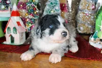 processed/20f57480-2efe-45a3-bcbb-58fa08c693ae/listing/5665c4fb-cec1-43b2-acf6-adf67d0495fd/3fb3ba3f-f15d-44ba-b444-f799bf93f4af