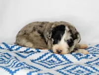 processed/20f57480-2efe-45a3-bcbb-58fa08c693ae/listing/5665c4fb-cec1-43b2-acf6-adf67d0495fd/5037ff1c-34ea-401e-9766-4b00bd21b43f