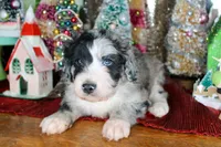 processed/20f57480-2efe-45a3-bcbb-58fa08c693ae/listing/5665c4fb-cec1-43b2-acf6-adf67d0495fd/73e88591-4417-4df0-8b3d-e4f5039cf380