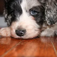 processed/20f57480-2efe-45a3-bcbb-58fa08c693ae/listing/5665c4fb-cec1-43b2-acf6-adf67d0495fd/75f6bf2d-6362-40a4-ac7d-8d35c7f52d73