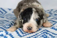 processed/20f57480-2efe-45a3-bcbb-58fa08c693ae/listing/5665c4fb-cec1-43b2-acf6-adf67d0495fd/efdd7bbb-46ef-4493-9c2e-3992bc47921d