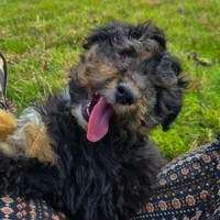 processed/20f57480-2efe-45a3-bcbb-58fa08c693ae/listing/57117107-16dc-46b7-b8b7-acc25505139d/00cf25f1-782d-4f57-92fd-40ef32809021