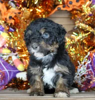 processed/20f57480-2efe-45a3-bcbb-58fa08c693ae/listing/57117107-16dc-46b7-b8b7-acc25505139d/d0ba23b1-3f79-40bf-bf98-a8e188ca9435