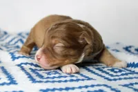 processed/20f57480-2efe-45a3-bcbb-58fa08c693ae/listing/76d0e3fc-55df-496f-9495-e4f830327e4d/0ec247e4-8cdf-411f-87a6-b3f2c08e3d5d