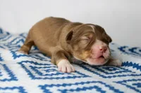 processed/20f57480-2efe-45a3-bcbb-58fa08c693ae/listing/76d0e3fc-55df-496f-9495-e4f830327e4d/21ea3f1e-cd13-4a6e-8407-daf5daa202cb