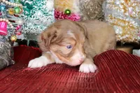 processed/20f57480-2efe-45a3-bcbb-58fa08c693ae/listing/76d0e3fc-55df-496f-9495-e4f830327e4d/613c39ee-62e4-4aa5-baef-07a997887005