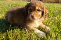 processed/20f57480-2efe-45a3-bcbb-58fa08c693ae/listing/76d0e3fc-55df-496f-9495-e4f830327e4d/c0bff31e-40f7-4edf-82a6-0f3ee5456981