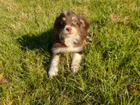 processed/20f57480-2efe-45a3-bcbb-58fa08c693ae/listing/afcfc058-7266-4e81-89af-26ae94576f81/36470e84-8b87-41ad-aed7-4f257b9d895d