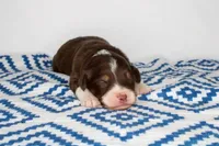 processed/20f57480-2efe-45a3-bcbb-58fa08c693ae/listing/afcfc058-7266-4e81-89af-26ae94576f81/44c90dc3-ad60-4004-aed1-f8b25a705441