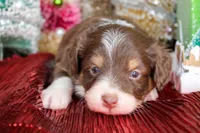 processed/20f57480-2efe-45a3-bcbb-58fa08c693ae/listing/afcfc058-7266-4e81-89af-26ae94576f81/44de8f93-6e3b-42ef-8d0b-389b7d456a0f