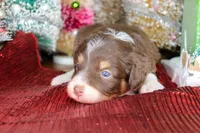 processed/20f57480-2efe-45a3-bcbb-58fa08c693ae/listing/afcfc058-7266-4e81-89af-26ae94576f81/6f62c809-af21-4366-a349-e5cdab9f1ba2