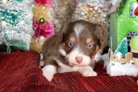 processed/20f57480-2efe-45a3-bcbb-58fa08c693ae/listing/afcfc058-7266-4e81-89af-26ae94576f81/990ac890-b2ae-49a9-8eef-4d2046f531ca