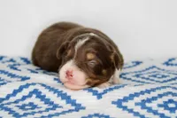 processed/20f57480-2efe-45a3-bcbb-58fa08c693ae/listing/afcfc058-7266-4e81-89af-26ae94576f81/af648545-6fc1-4e64-a3ef-c1663ae1dda2