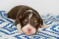 processed/20f57480-2efe-45a3-bcbb-58fa08c693ae/listing/afcfc058-7266-4e81-89af-26ae94576f81/c695d0c5-04cb-47e5-9082-0c291de84a03