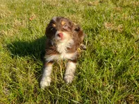 processed/20f57480-2efe-45a3-bcbb-58fa08c693ae/listing/afcfc058-7266-4e81-89af-26ae94576f81/e9cd39bd-5209-40c4-88bb-36bf085ff2ad