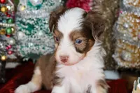 processed/20f57480-2efe-45a3-bcbb-58fa08c693ae/listing/f990bd44-0cdc-4ca3-bc24-29615ea1c7b3/349bc113-281f-4471-b3ad-091619a995ef