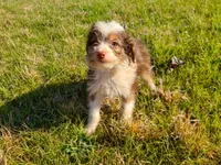 processed/20f57480-2efe-45a3-bcbb-58fa08c693ae/listing/f990bd44-0cdc-4ca3-bc24-29615ea1c7b3/7e39a213-30f3-4c2b-b090-1ad49123f47f