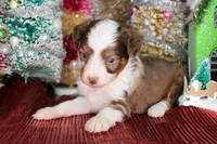 processed/20f57480-2efe-45a3-bcbb-58fa08c693ae/listing/f990bd44-0cdc-4ca3-bc24-29615ea1c7b3/df4df42b-63fd-44cc-90c9-6a1b34bd37f8