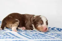 processed/20f57480-2efe-45a3-bcbb-58fa08c693ae/listing/f990bd44-0cdc-4ca3-bc24-29615ea1c7b3/ee2f7676-9f96-4590-8037-9285dd9e5f1e