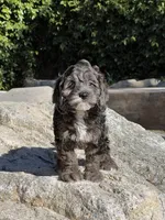 processed/20f6ae70-742e-41e5-8069-8c9037b2a90d/listing/fd5720b4-02bc-4d8d-b741-2a3ded3cf34b/0a96631a-b1f1-4b54-a912-a8271b07dd02