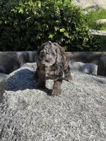 processed/20f6ae70-742e-41e5-8069-8c9037b2a90d/listing/fd5720b4-02bc-4d8d-b741-2a3ded3cf34b/0cd65bf8-33b7-4fa7-b486-d378fd0ea5f7