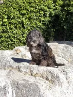 processed/20f6ae70-742e-41e5-8069-8c9037b2a90d/listing/fd5720b4-02bc-4d8d-b741-2a3ded3cf34b/476e0906-f370-442c-8274-dc56549cb6a6