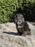 processed/20f6ae70-742e-41e5-8069-8c9037b2a90d/listing/fd5720b4-02bc-4d8d-b741-2a3ded3cf34b/f334a571-030c-49c2-a66c-482218a7027c