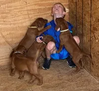 processed/20fc3db0-6d0a-436e-a35d-7b0cc1ecde11/facility/a7dd9f3e-99d0-43c8-94e0-6fb1413dd3b6