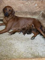 processed/20fc3db0-6d0a-436e-a35d-7b0cc1ecde11/listing/28f79ae4-b8a2-45b0-a561-e8c2b2cb91da/1a42e87e-5043-464f-bab2-6e38530e9b53