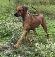 processed/20fc3db0-6d0a-436e-a35d-7b0cc1ecde11/listing/28f79ae4-b8a2-45b0-a561-e8c2b2cb91da/500110b0-544b-43c0-abb9-084d1fedfd80