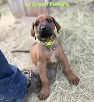 processed/20fc3db0-6d0a-436e-a35d-7b0cc1ecde11/listing/28f79ae4-b8a2-45b0-a561-e8c2b2cb91da/579f394b-9479-4ef6-885d-3ef42b00d277