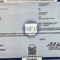 Millie’s Lt Green, a female Rhodesian Ridgeback for sale in Cameron, TX – Photo 10 of 10