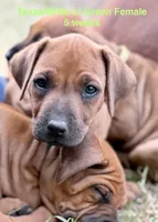 processed/20fc3db0-6d0a-436e-a35d-7b0cc1ecde11/listing/28f79ae4-b8a2-45b0-a561-e8c2b2cb91da/73a7a0db-1c2d-42e5-9f01-7bad8f4b6154