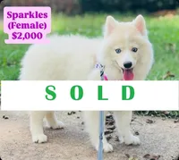 processed/20fd2497-92df-4c3b-a169-e6b38bcdd1d0/facility/31eafbd5-98c2-4a56-98a2-33c3eadf2131